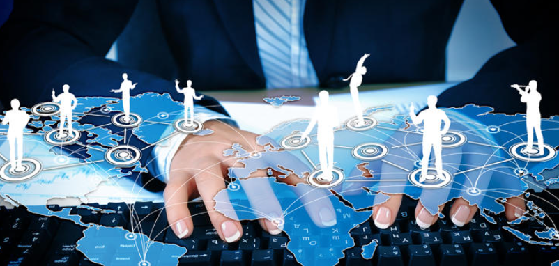 法国突破动物器官血液循环4D成像!