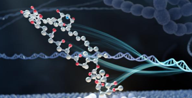 国科大在《自然》发表突破性研究成果，革新含胺分子合成路径